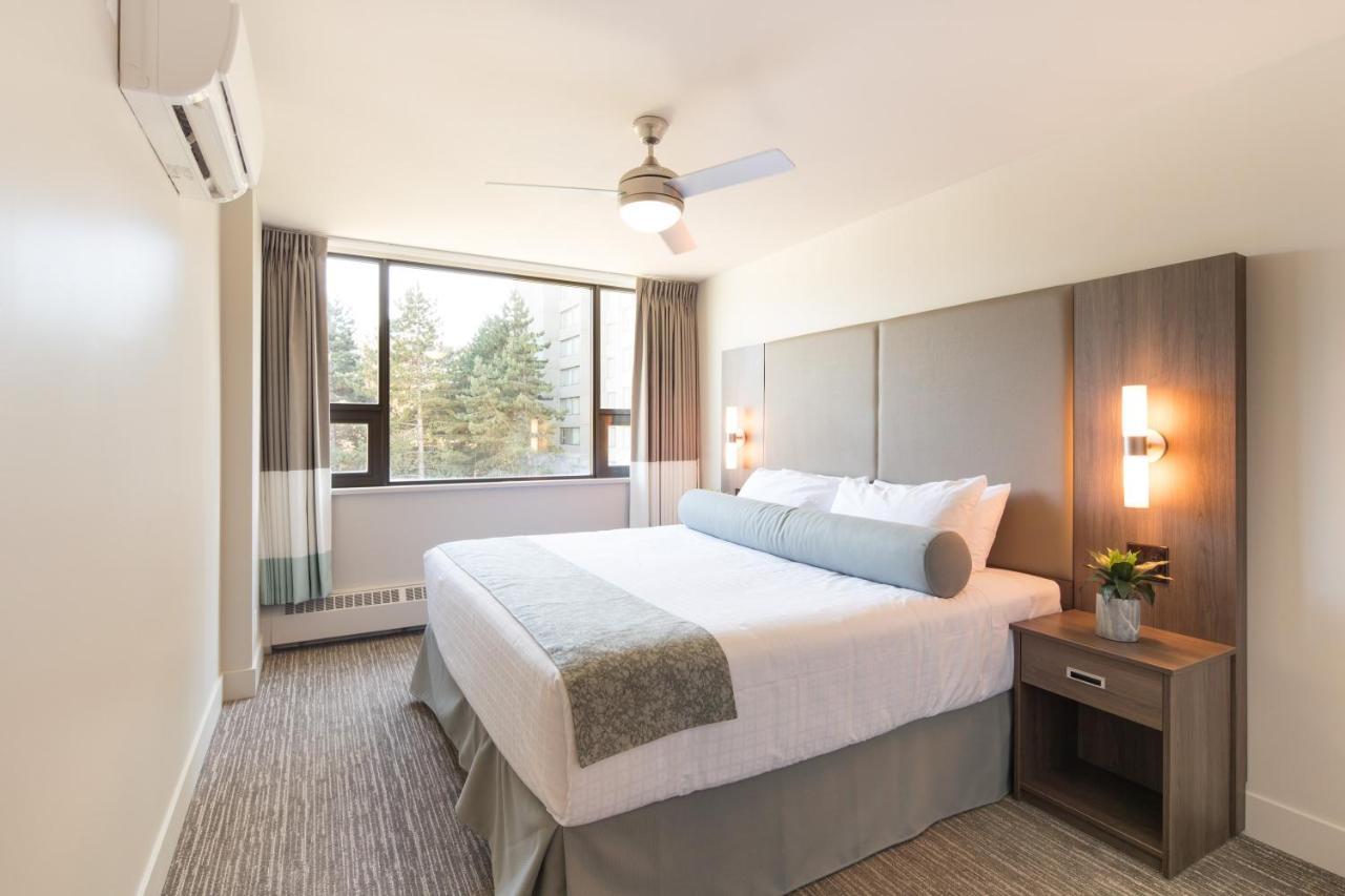 One-Bedroom King Suite with Sofa Bed,742485880:JPEG