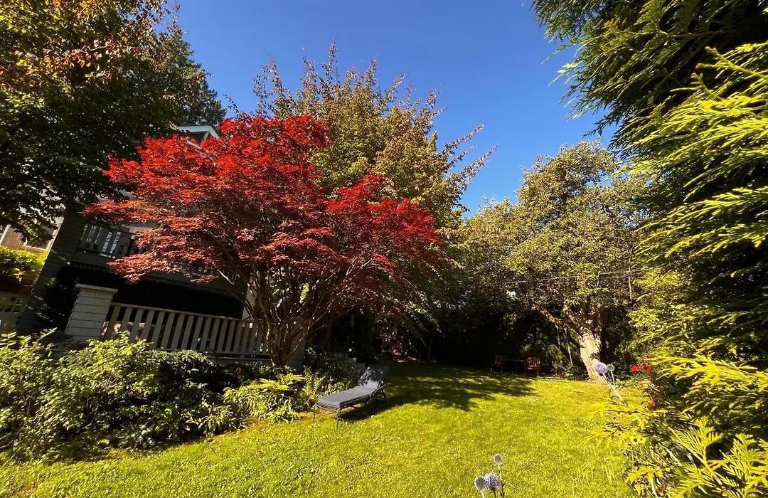 Aristocrathomestay-1