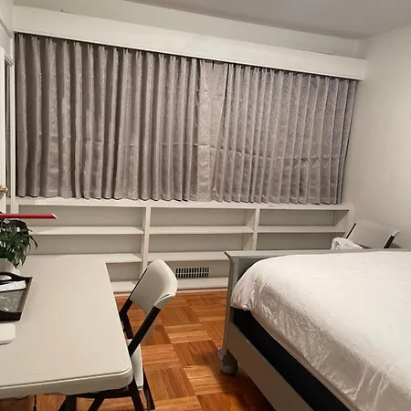 Airnest-3