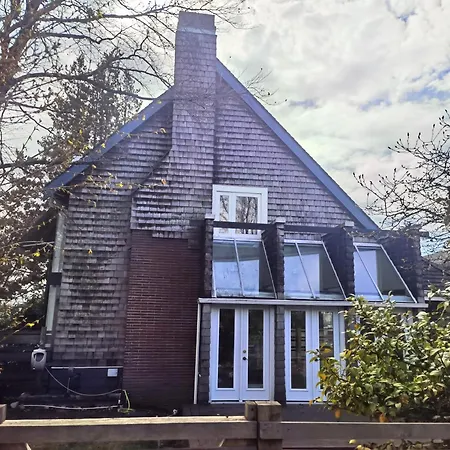 Sunny And Cozy Art-House. No Share.-3