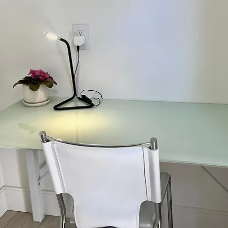 Brand New Modern Laneway House-3